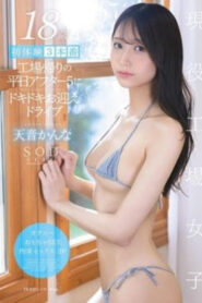 START-291