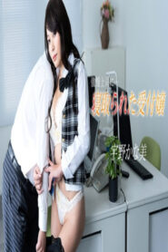 พนักงานต้อนรับที่ถูกเจ้านายขมขืนในออฟฟิศ PONDO-122424_001